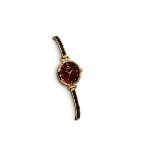 Picture of Burgundy Gold Silver Watch