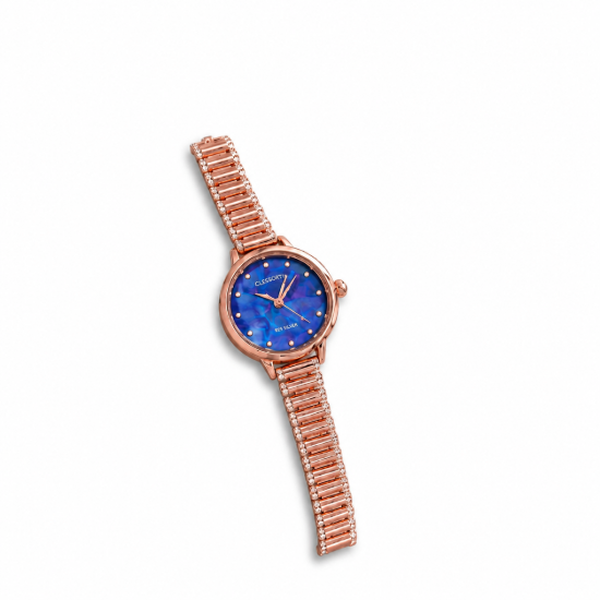 Picture of Sapphire Gold Silver Watch
